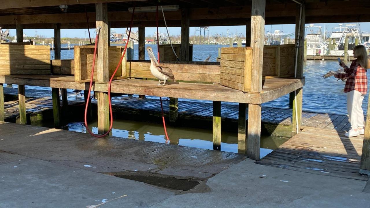 Resort Lodging At Venice Marina W/ Wifi + Private Dock Eksteriør billede